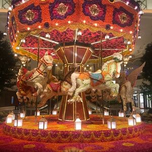 Meet your Posher, Cece